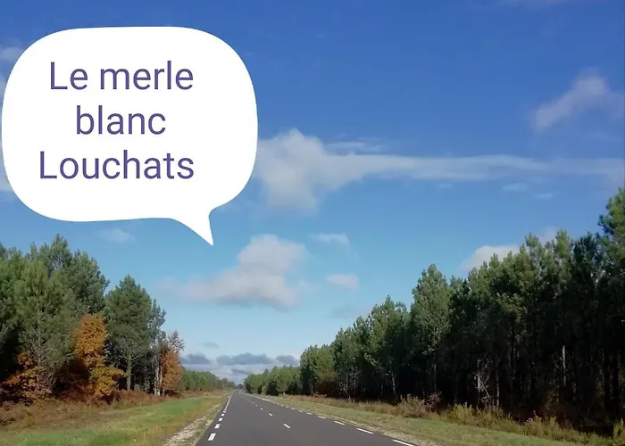 Le Merle Blanc Louchats