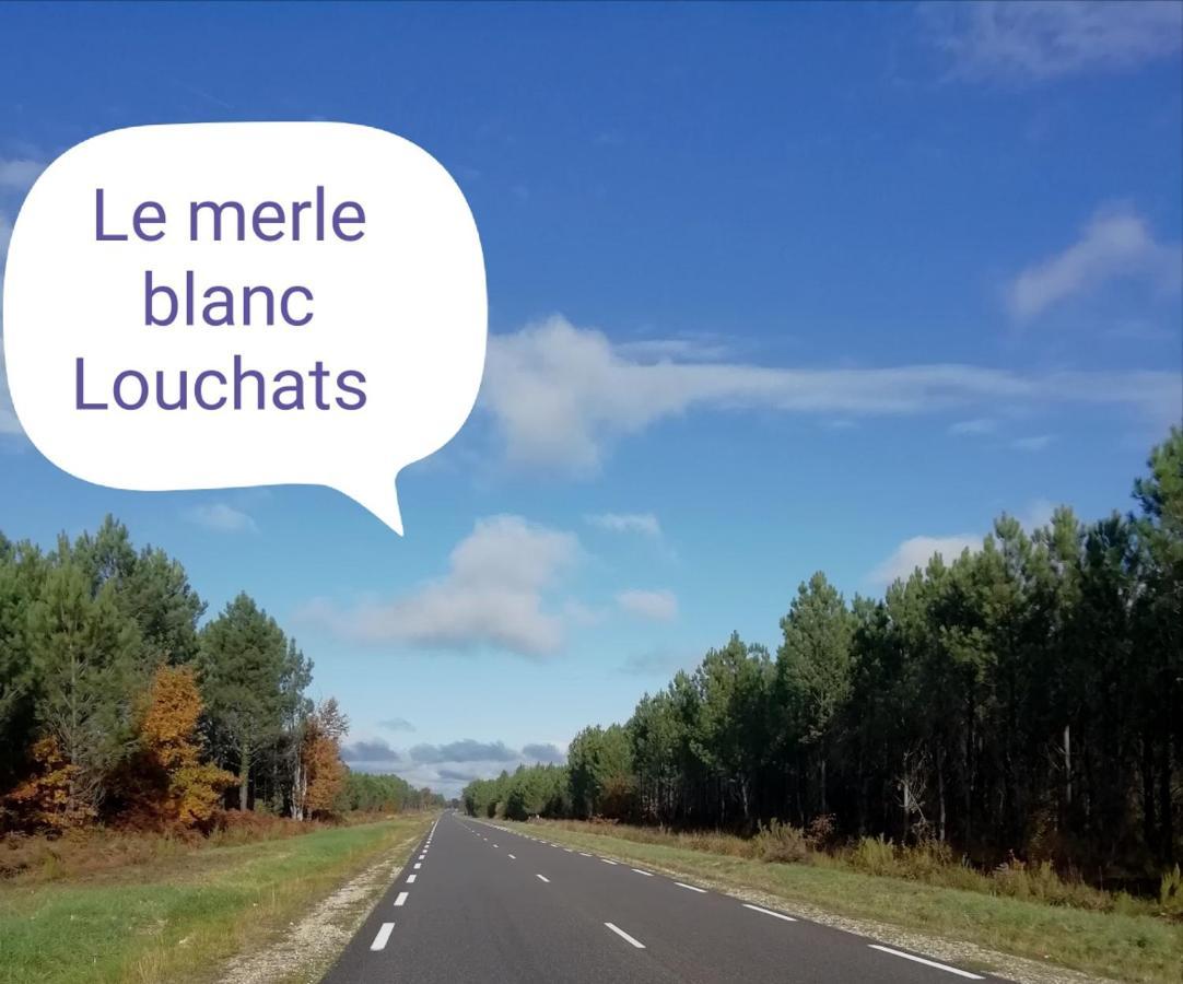 Le Merle Blanc